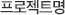 프로젝트명